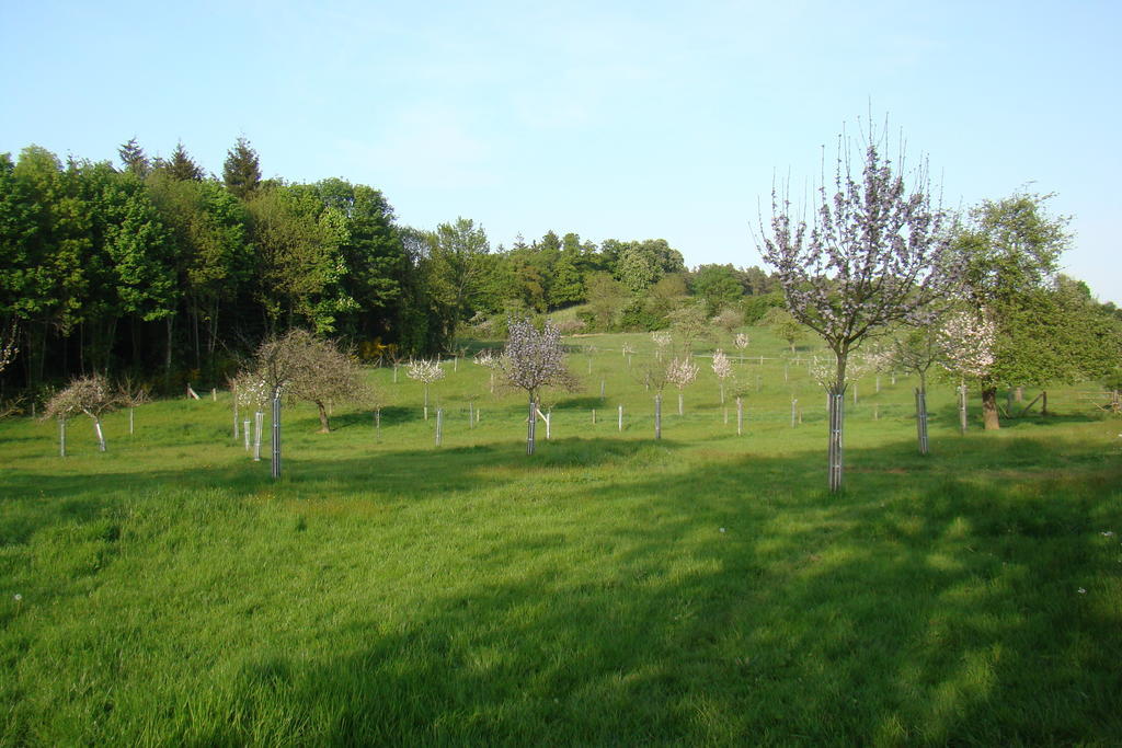 Gite De La Cour Campandre-Valcongrain Ruang foto