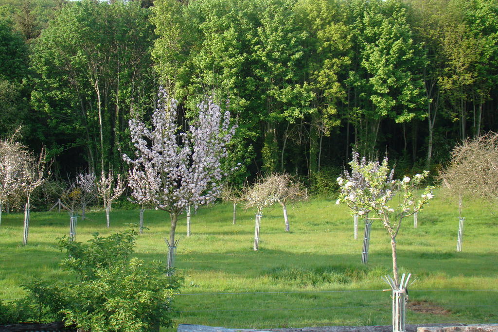 Gite De La Cour Campandre-Valcongrain Ruang foto